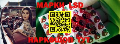 ПСИЛОЦИБИНОВЫЕ ГРИБЫ Кандалакша