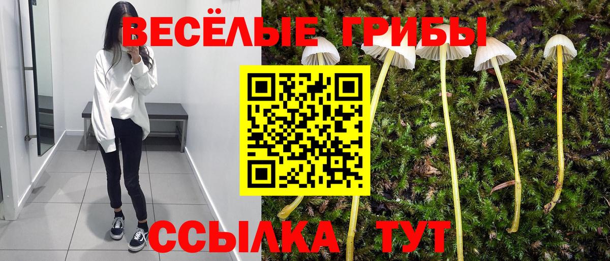 Малоярославец  Галлюциногенные грибы ЛСД  Вход с VPN 
